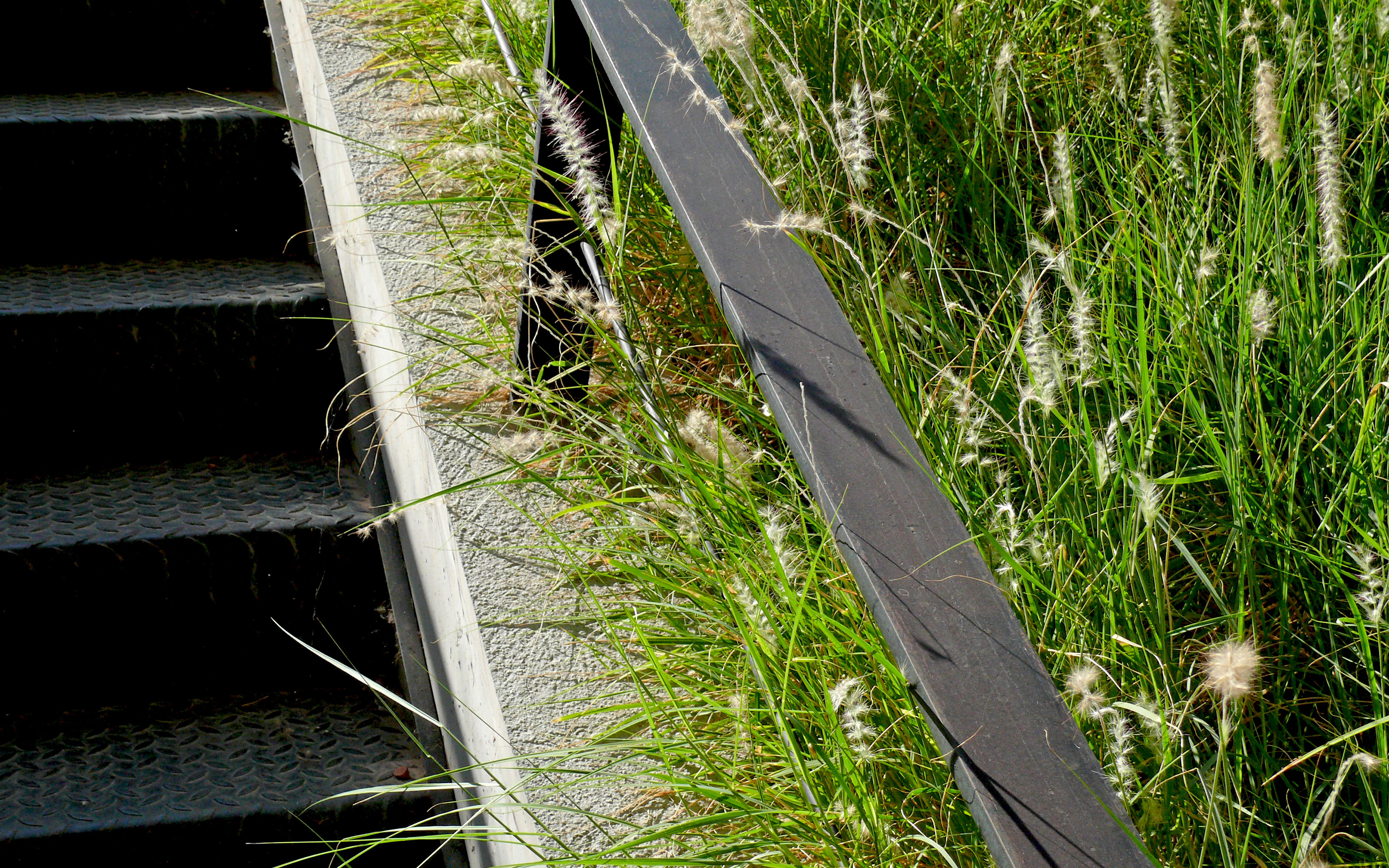 Pitched green roof with railing and stairs